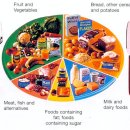 다이어트존 이미지