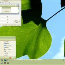 올리브향기 이미지