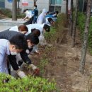 사랑병원옆공원 이미지