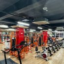 DYGYM 이미지