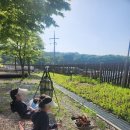 철원 평화마을 서울캠핑장 | 철원 민통선지역 서울캠핑장 철원평화마을 후기 1