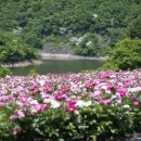 옥정호로 이미지