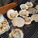 얼음골민박 이미지