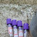 한우동물병원 이미지