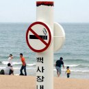 해운대해수욕장 이미지