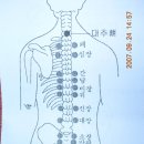 부항 - 부항시술의 혈자리 이미지