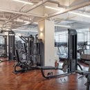 바디어필 이미지