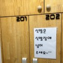 스테이하하하
