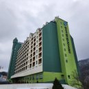 양지파인리조트 이미지