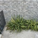 CU거제면쉼터점 | 거제 감성 숙소 : 노을마을 독채 펜션, 103호