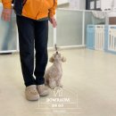 바우라움 메인캠퍼스 이미지