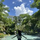 관악구 자전거 대여센터 | 나트랑 더아남 리조트 조식 자전거 대여