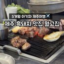 월정리흑돼지월고집 | 5개월 아기와 제주 동쪽 여행 구좌 월정리 흑돼지 맛집 '월고집'