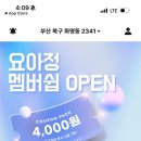 요거트아이스크림의정석
