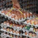 우리계란마트 이미지