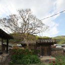 설월당(雪月堂) 이미지