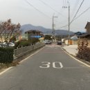 대룡초교 이미지