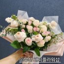 다이소 양산물류센터 네이버블로그