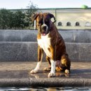 영어와 Craft 이미지