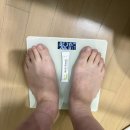 경희이지한의원 | 경희바로한의원 은비환 내돈내산 -3kg 후기!!