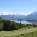 은자목장 이미지