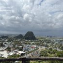 이호그린 이미지