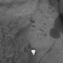 두류사랑니치과의원 이미지