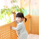 설레는아침
