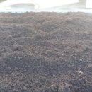 성림축산 이미지