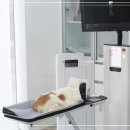 부산동물병원 네이버블로그