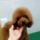 젠동물병원 이미지