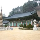 박도 Daum카페