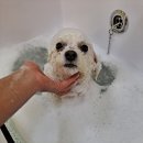 몽스파 연제점 이미지