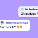 비블 이미지