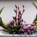 하얀기쁨 이미지