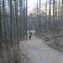 다리안 주차장 이미지