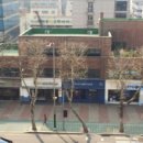 서초법조빌딩 이미지