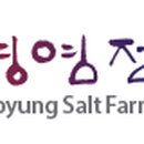 태평태양광발전소 이미지