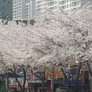 에이스멀티짐