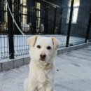 중산간동로 이미지