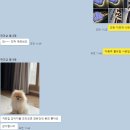 멍뽀인트 이미지