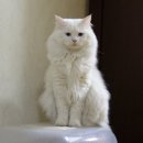 난향동-7 이미지