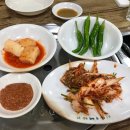 치바우뼈다귀 이미지