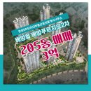 한성공인중개사사무소 | 한성5차단지내부동산공인중개사사무소 배방푸르지오2차 205동 매매 3억