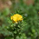 걸매생태공원 이미지