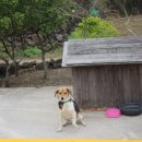 성산게스트하우스킴스캐빈 이미지