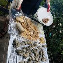 모도민박 이미지