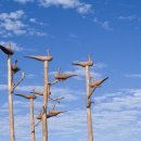 샘양지마을 이미지