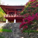 용평동 용호정 네이버블로그
