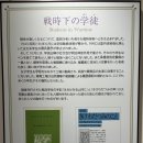 부흥식품 | 대지진과 도쿄공습의 시대를 볼 수 있는 도쿄도 부흥기념관을 가보자🙏+조니워커블루라벨, 로얄살루트...